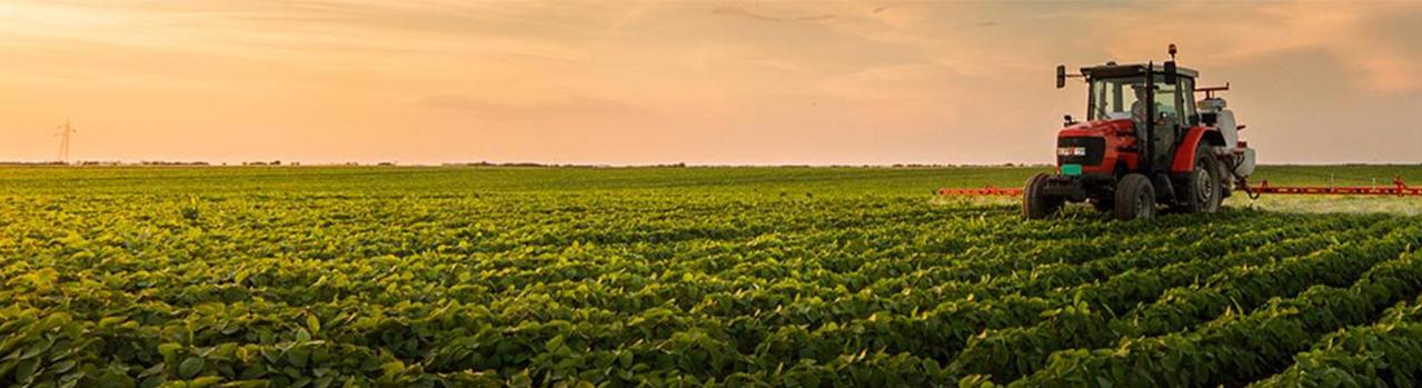 Imagem ilustrativa de: Agricultura